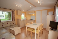 Camping*** Haliotis